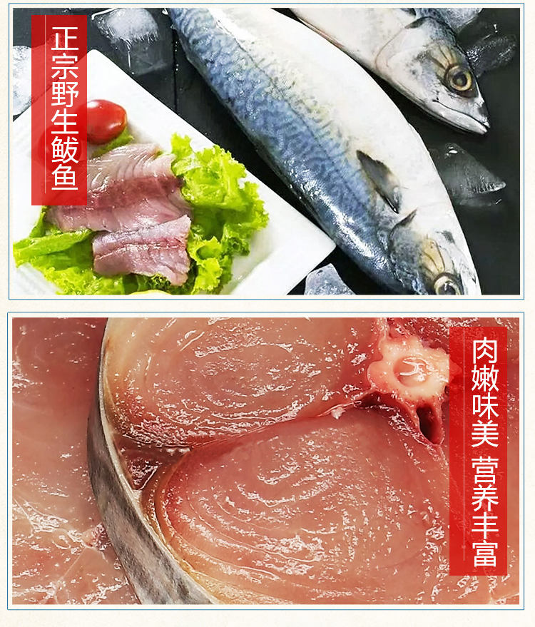 鲅魚(yú)餡料(圖3)