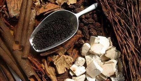 我們應(yīng)該如何正確服用蒙藥？